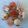 Cupcakes and Cake Decorating & Flower Making Techniques