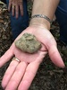 A Truffle & Wine Dinner at Sapore