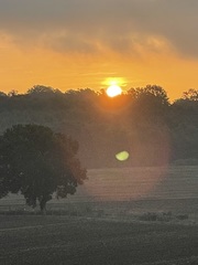 Cooking with a Partner: A Delicious Night in Key West